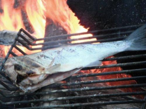 fish_on_the_fire-1