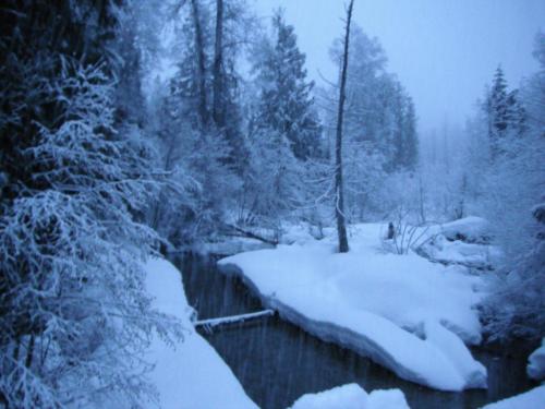 snowing_at_mcnomie_bridge
